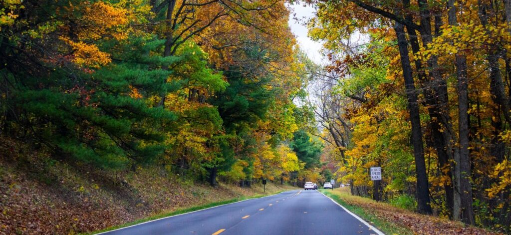 Best National Parks to See Fall Colors